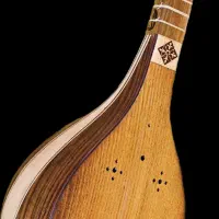 سه تار مفاخری