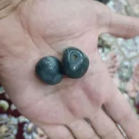 سنگ و مهره معاوظع دارم هم با انگشتر .. پرنده و