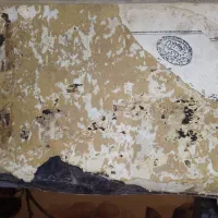 کتاب بسیار قدیمی|کلکسیون اشیاء عتیقه|قوچان, |دیوار