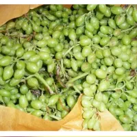 ابغوره