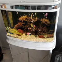 آکواریوم خارجی شیک و آینه کاری  شیشه ۱۰میل