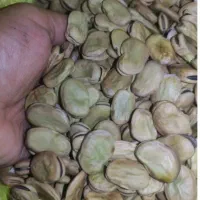 باقله