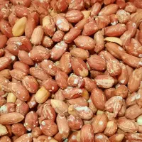 محصولات ارگانیگ وخوراکی|خوردنی و آشامیدنی|بروجرد, |دیوار