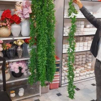 شمشادهای اویزی ۱۷۰ سانتی اک