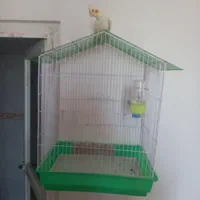 عروس هلندی دستی