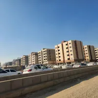 فیش مسکن