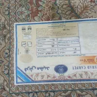 دو تخته فرش 12 متری مشهد|فرش|مشهد, حجاب (شهرک غرب)|دیوار