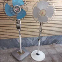 دو عددپنکه