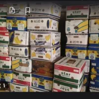 فروش کارتن موزی