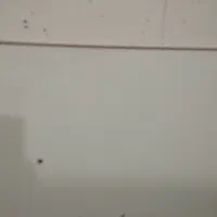 دوتخته ام. دی اف|کتابخانه، شلف، قفسههای دیواری|زاهدان, |دیوار