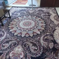 یک عدد فرش ۱۲ متری ۱۲۰۰ شانه تراکم ۳۶۰۰