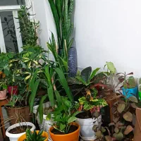 زمین مسکونی درمحدوده طرح هادی