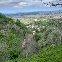 اجاره زمین بایر یا کشاورزی