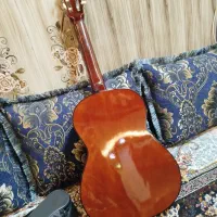 گیتار|گیتار، بیس، امپلیفایر|ایرانشهر, |دیوار