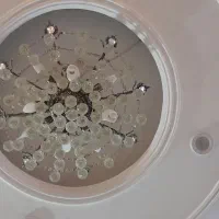 دوعدد لوستر|لوستر و چراغ آویز|رشت, توشیبا|دیوار