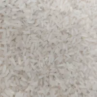 فروشگاه ارمغان گیلان|خوردنی و آشامیدنی|لاهیجان, بازکیاگوراب|دیوار