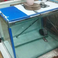 فروش کلیه لوازم