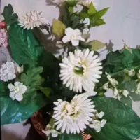 گلدان درختچه‌ای|گل مصنوعی|قم, بنیاد|دیوار