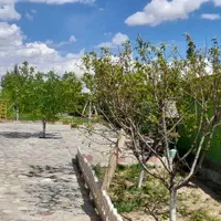 ویلا شیک در صوفیان|فروش زمین و ملک کلنگی|صوفیان, |دیوار