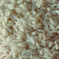 برنج|خوردنی و آشامیدنی|خرمشهر, |دیوار