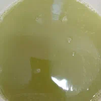 آبغوره دستگیر تازه