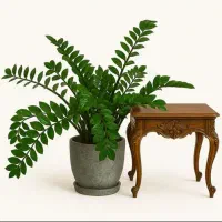 گلها به علت مهاجرت