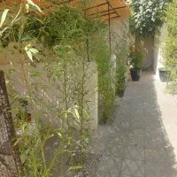 فروش کامل کافه فست فود