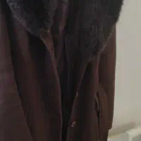 پالتو