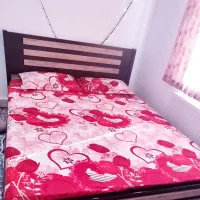 همشـون در حـد نـو ، فـروشی و قیمت خـوب