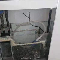 آکواریوم برند ایران آکواریوم|ماهی|تهران, باغ فیض|دیوار