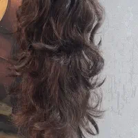 ۳عدد پوستیژ کلیپسی