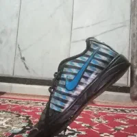 کفش سالنی