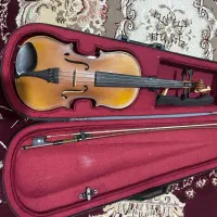 ویالن|ویولن|جهرم, |دیوار