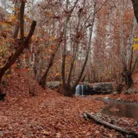 طبیعت گردی