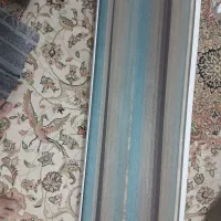 پر ده زبرا