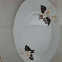 چینی زرین|ظروف سرو و پذیرایی|اراک, |دیوار