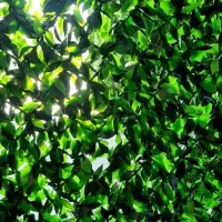 فنس چمنی|مصالح و تجهیزات ساختمان|هشتگرد, شهرک افشاریه|دیوار