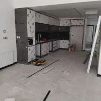 بلوط سبز