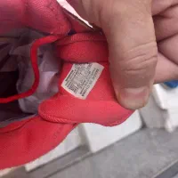 کتونی|کیف، کفش، کمربند|تهران, یاخجی آباد|دیوار