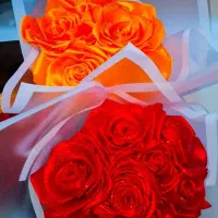 گل ربانی سفارش پذیرفته می‌شود