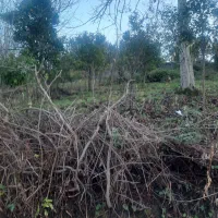 فروش-320-متر-زمین