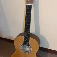 گیتار به همراه کیف