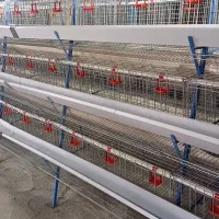 قفس مرغ تخم گذار|فروشگاه و مغازه|قزوین, |دیوار