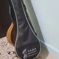 سه تار|سازهای سنتی|محمدیه-قزوین, |دیوار