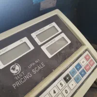 باسکول بزرگ یک نیم تنی سالم