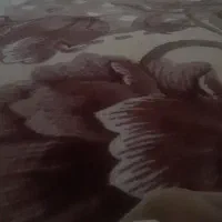 تشک دونفره درحد نو