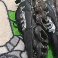 کفش|کیف، کفش، کمربند|ارومیه, |دیوار