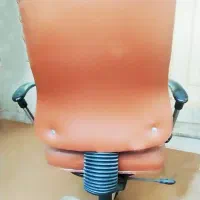 صندلی چرخدار|صندلی و نیمکت|یزد, |دیوار