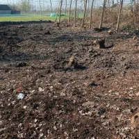 آستانه ۳ قطعه زمین مسکونی سوخته کوه ویو ابدی