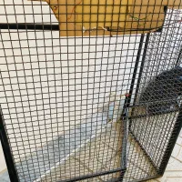 رگال و دکور مغازه|فروشگاه و مغازه|نیشابور, پاستور|دیوار